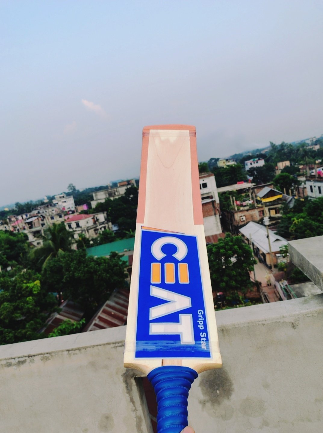 Free Bat Cover